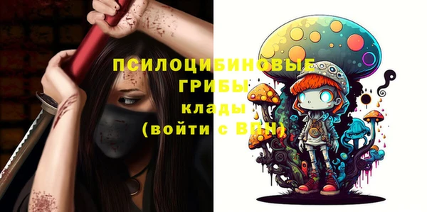 МДПВ Абдулино
