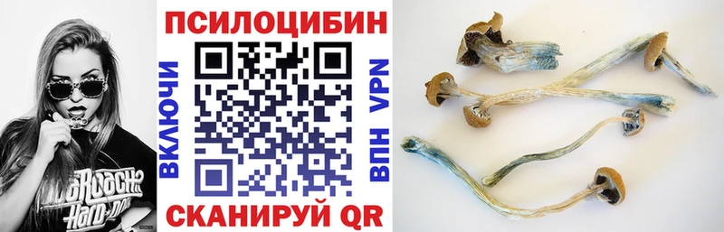 Псилоцибиновые грибы Psilocybine cubensis  KRAKEN ссылка  Адыгейск 